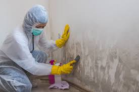 Best Water Damage & Mold Remediation  in Oak Ridge, FL